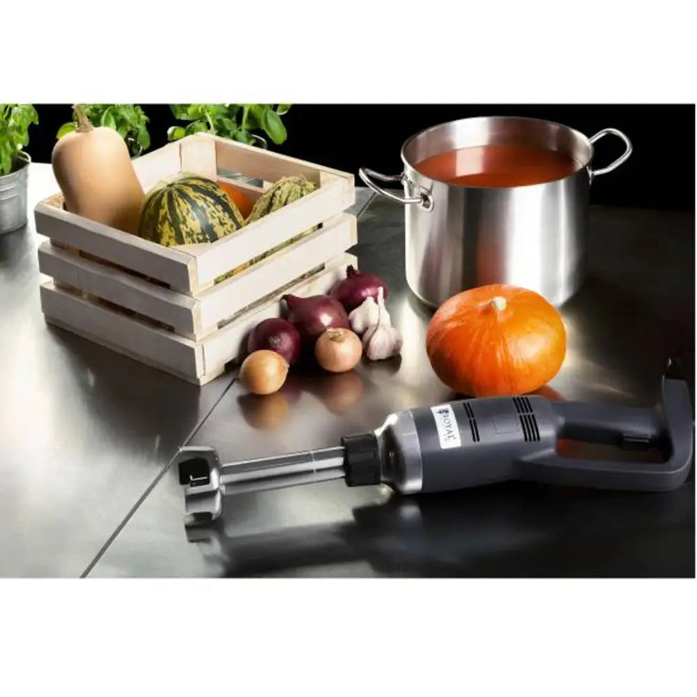 Kraftig Håndmixer Blender Robot med 250mm Arm 350w 230v - Royal Catering.