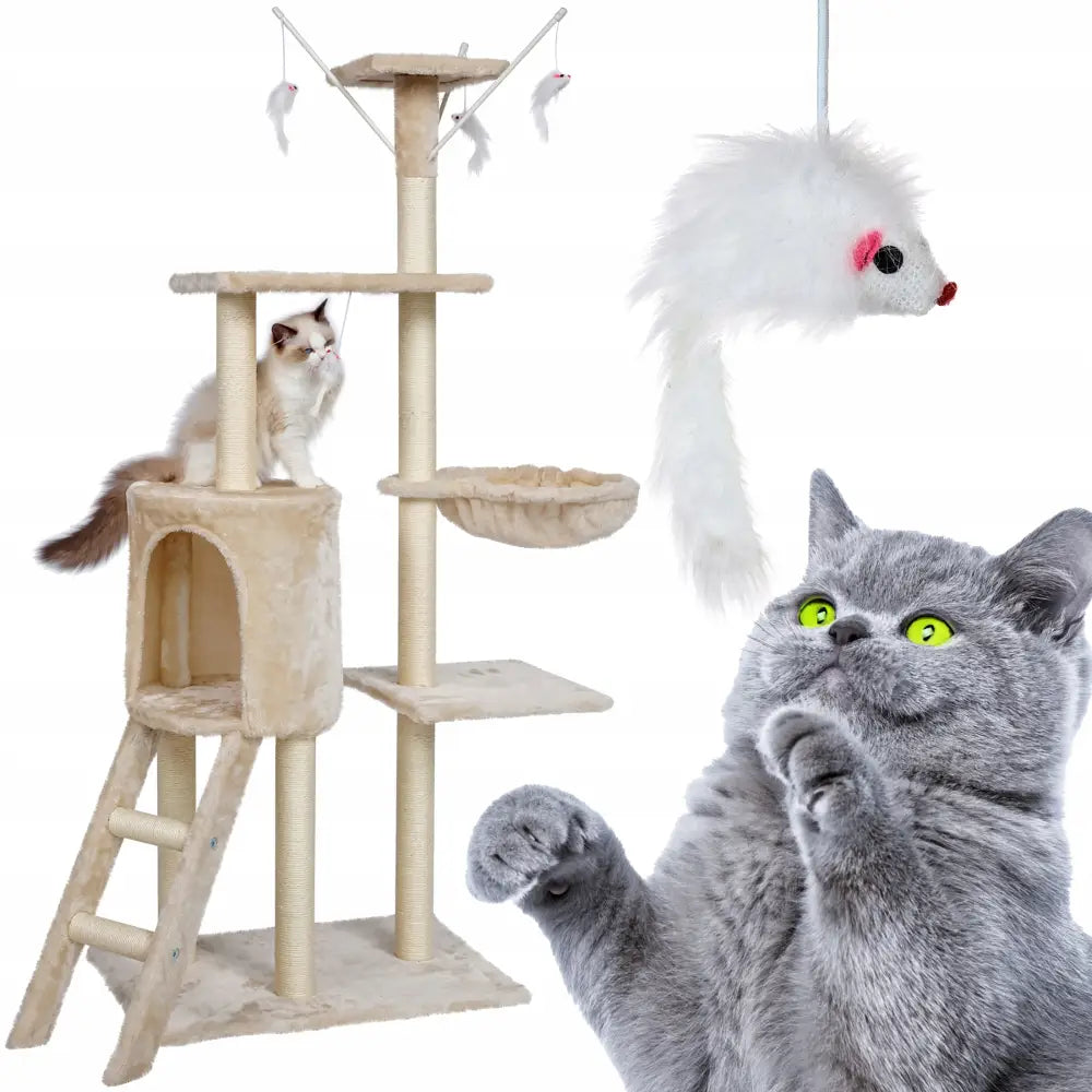 Kratremøbel for katter med flere etasjer, stige, hengekøye og lekemuser, to katter utforsker stativet.