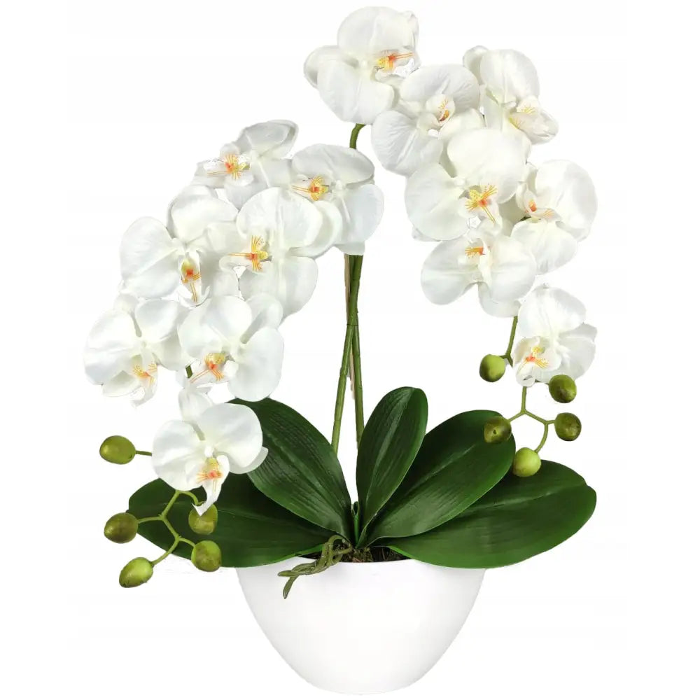 Kunstig hvit orkidé med store blomster og grønne blader i enkel hvit potte, frontvisning.