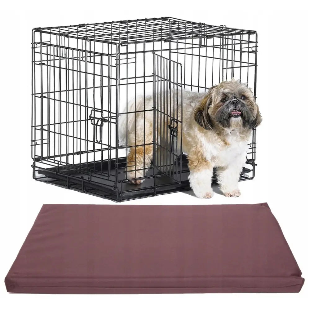 Metallbur Kennel for Hund M med åpen dør, liten hund på vei inn og brun madrass foran på hvit bakgrunn.