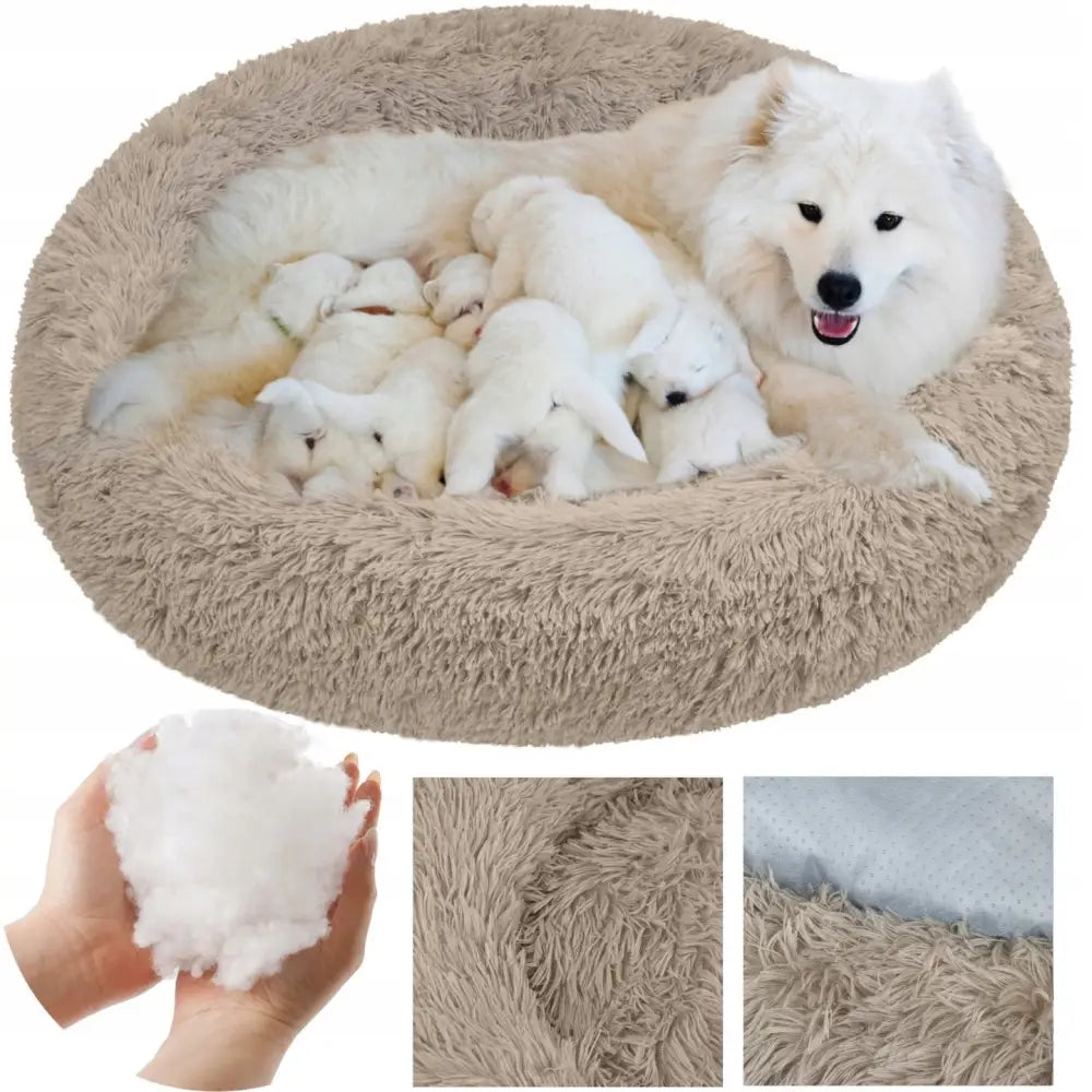 Mjukt Fluffigt Husdjurssäng, beige plysj, sett ovenfra med hund og valper liggende mykt i rund seng.