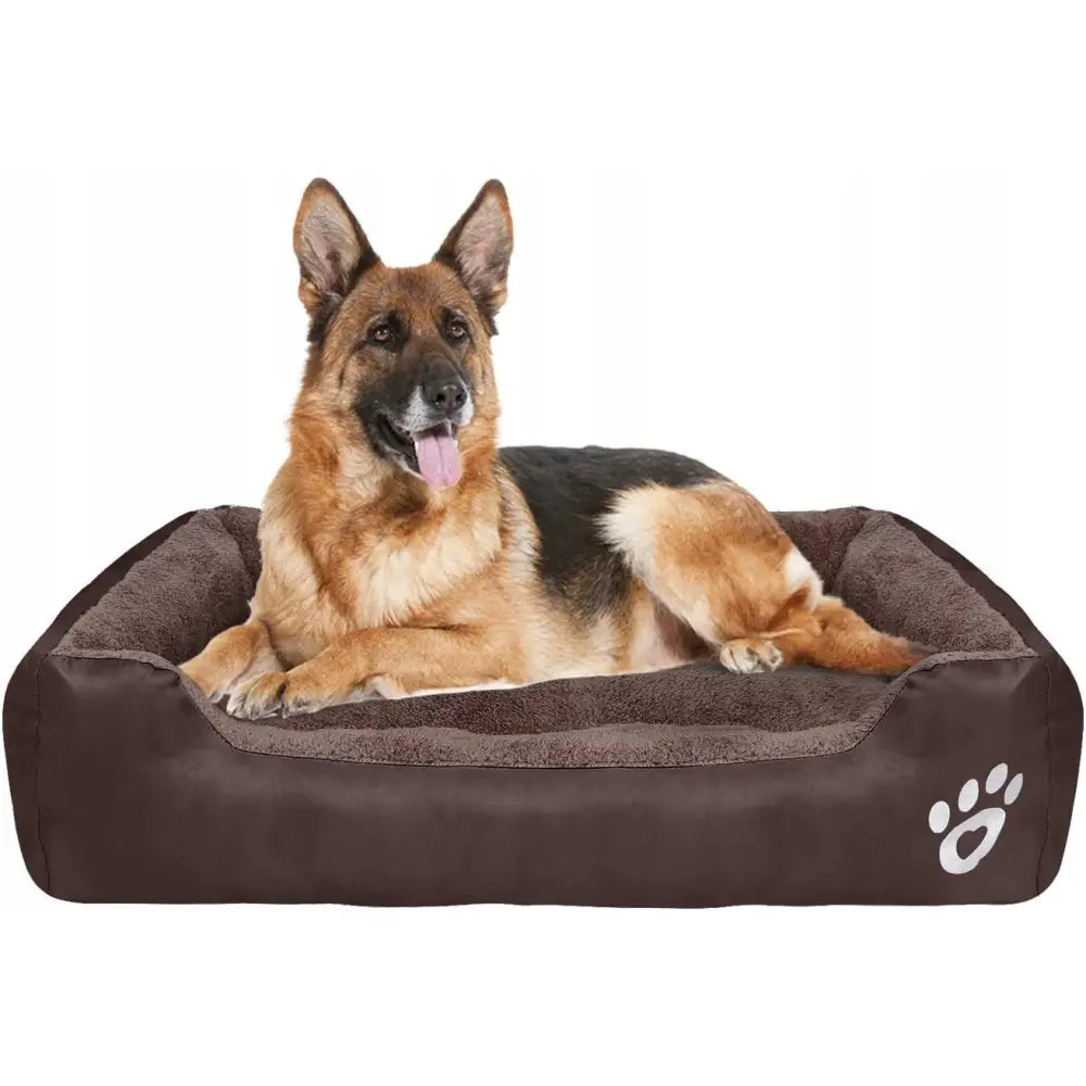 Myk hundeseng sofa 55x45 cm i brunt stoff, hund hviler oppi, hvit potetrykk-detalj foran.