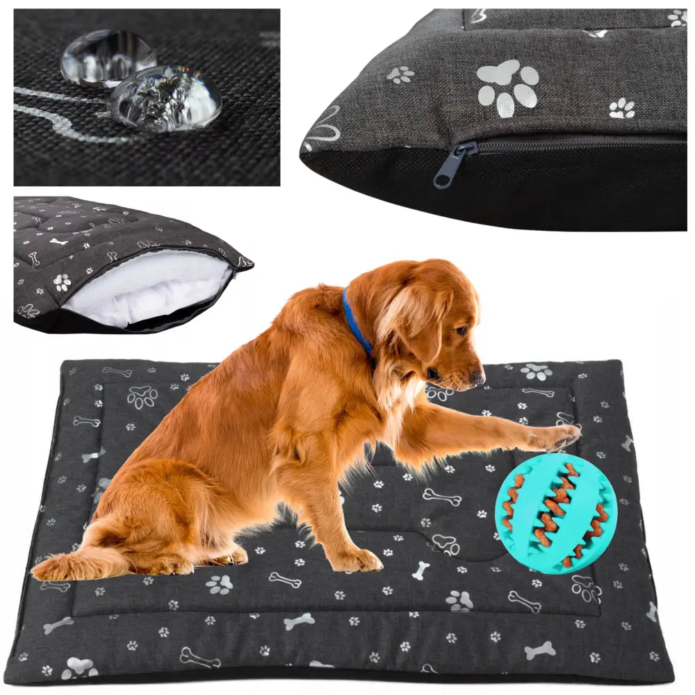 Mykt Hundeseng Sitteplass Vanntett XL i mørkegrått, dekorert med pote- og beinmotiver, hund og blå leke synlig.