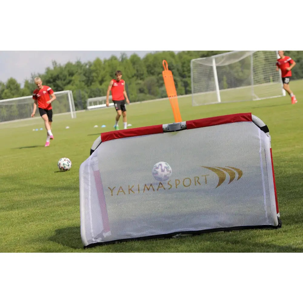 Nett til fotballmål ACADEMY, frontvisning på gressbane med synlig logo, gulldetaljer og bakgrunnsaktiviteter.