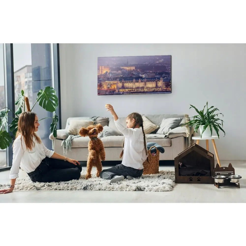 Stue med lyst interiør, kvinne og barn leker med brun puddel på teppe, svart hundehus og grønne planter.