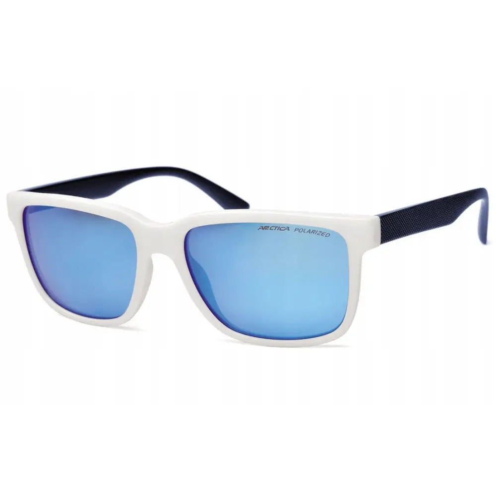 Polariserte Arctica S-299b Solbriller