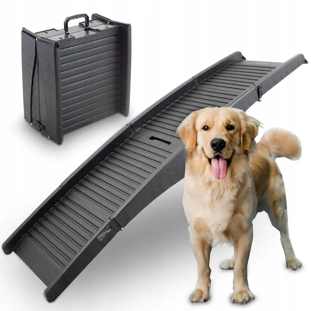 Sammenleggbar plast-rampe for hund, utfoldet og sammenpakket med bærehåndtak, stor lys hund ved siden av.