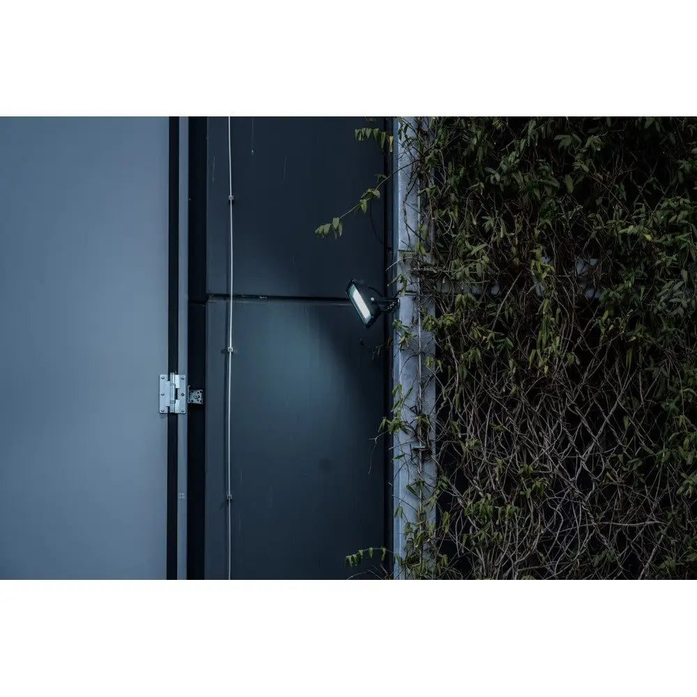 Reflektor LED JARO 14060, svart vegglampe montert utendørs, lyser opp klatreplanter ved nettinggjerde.