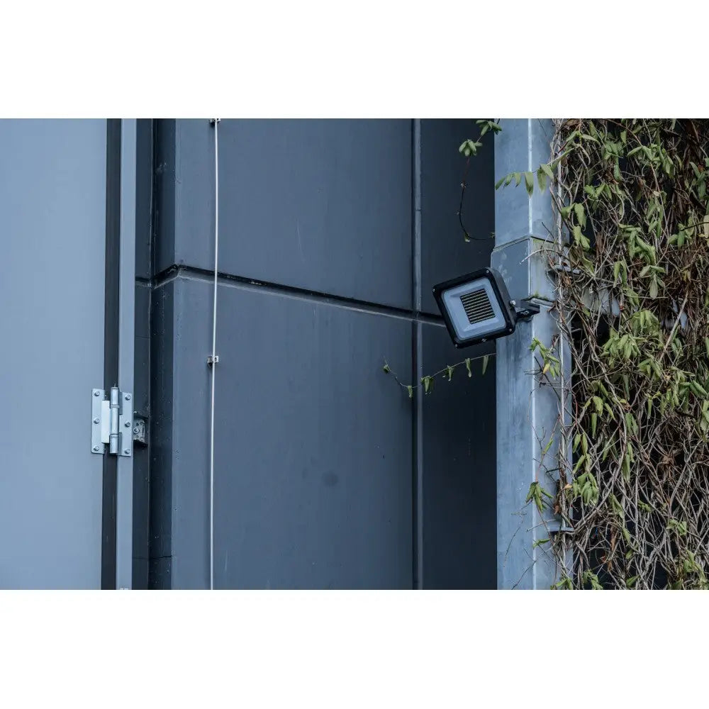 LED-lyskaster for utendørs bruk, sort armatur montert sideveis på grå vegg med grønn vegetasjon ved siden av.