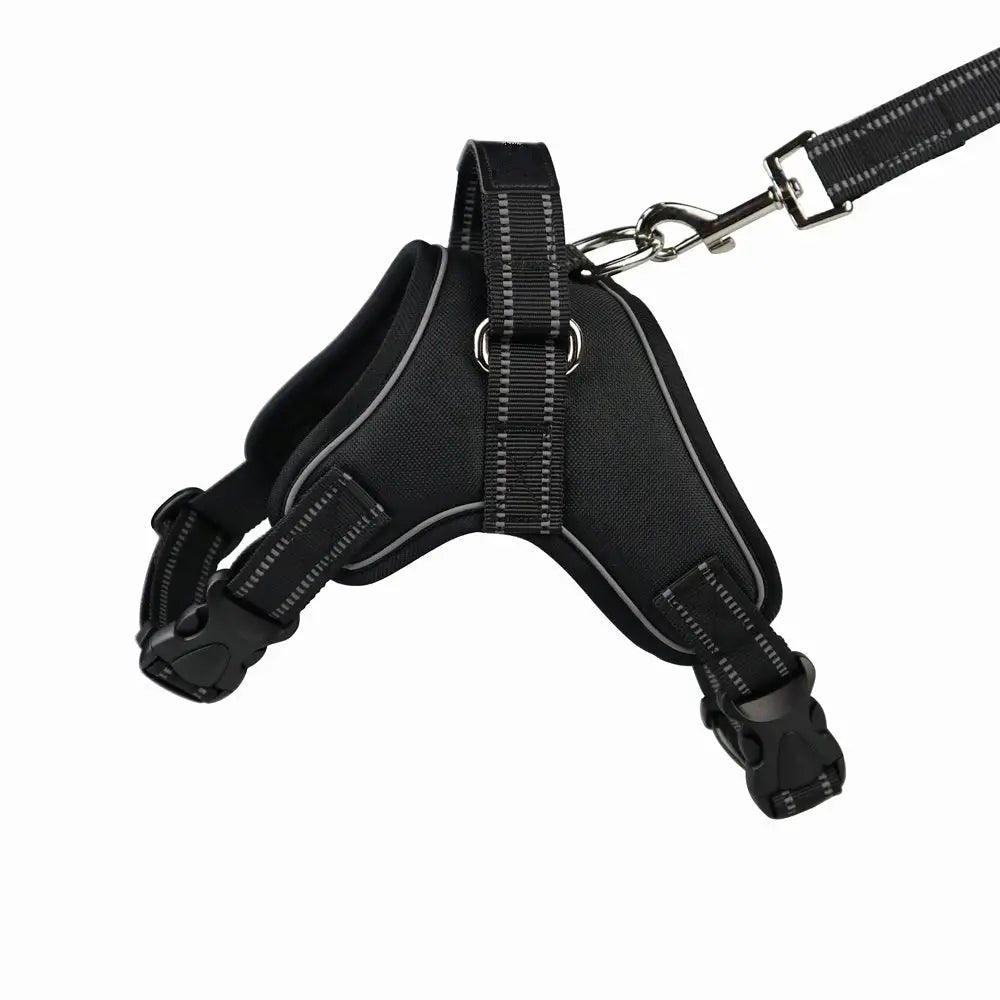 Sort hundesele XL med refleks, sett fra siden, viser justerbare reimer, solide spenner og kobbelkrok på toppen.