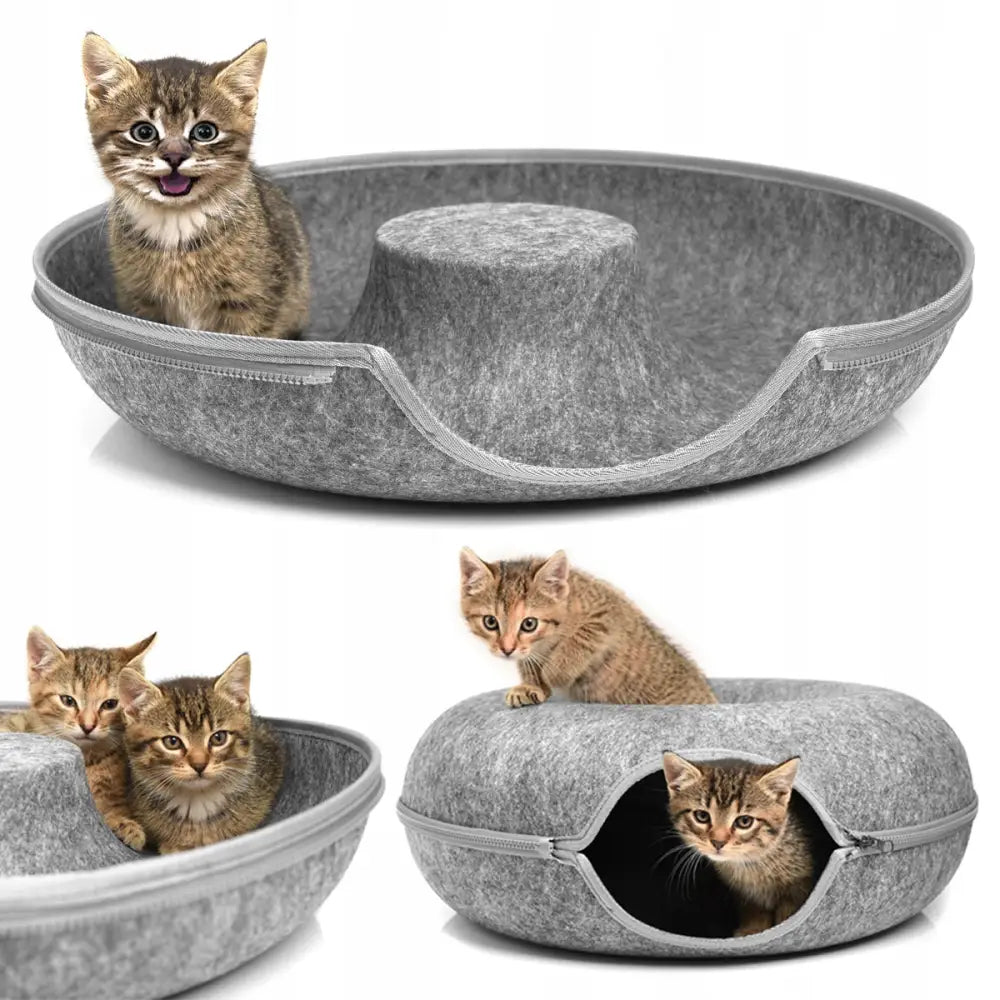 Seng for katt til radiator i grå filt med glidelås, flere kattunger leker og hviler rundt og inni sengen.