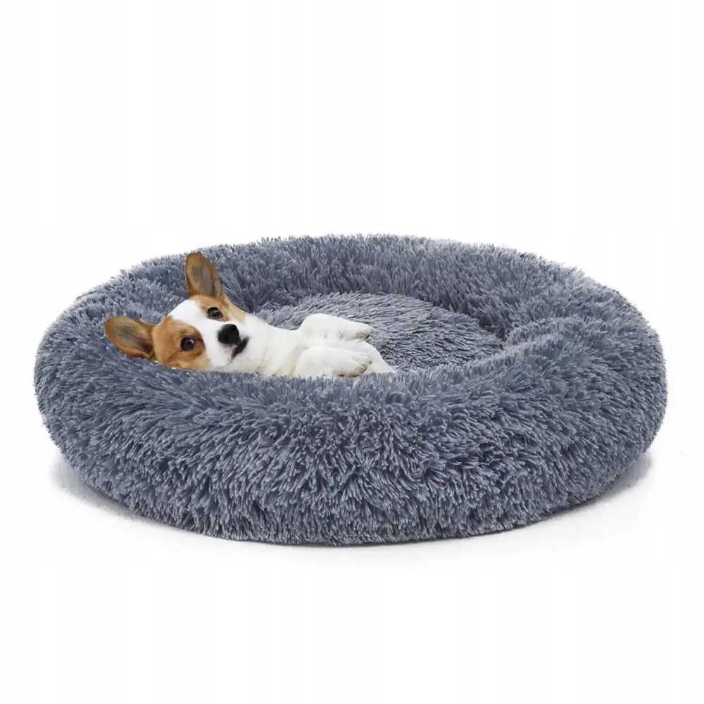 Sengeplass for katt og hund i grå fluffy stoff, rund form, liten hund hviler avslappet i midten.