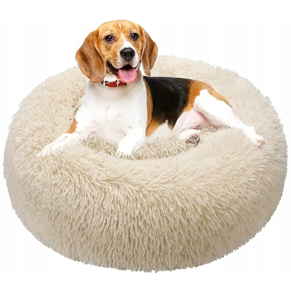 Sengeplass Myk Plysj for Katt Hund, mellomstor hund hviler i rund, lysebeige og ekstra myk seng mot hvit bakgrunn.