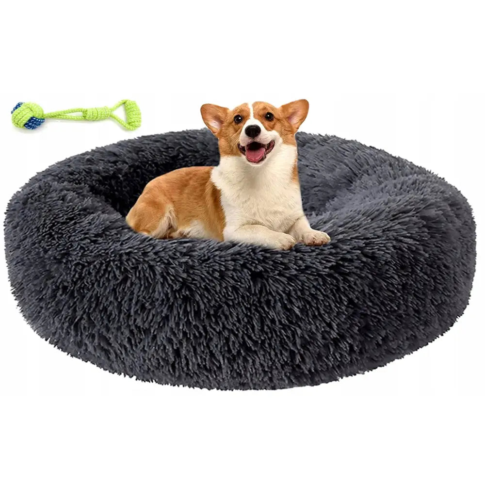 Sengepuff for hund og katt, stor rund mørkegrå seng med brun og hvit hund og fargerikt tauleketøy.