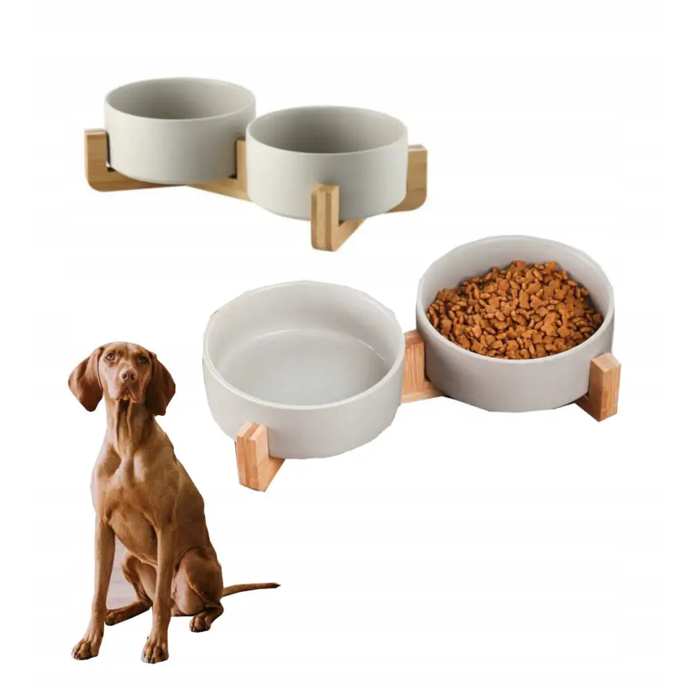 Sett med to grå keramikkskåler på lyst trestativ, én fylt med tørrfôr, hund ved siden av for størrelsesreferanse.