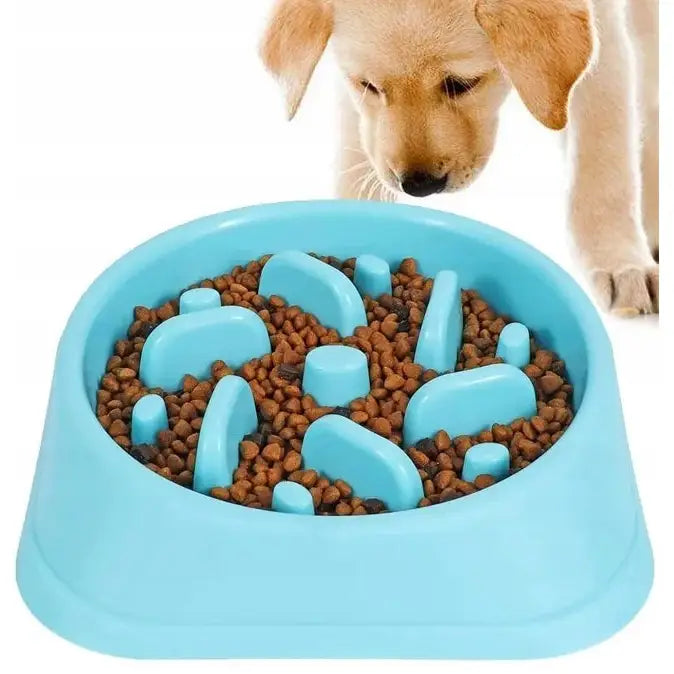 Skål for å senke matinntaket til stor hund, lys blå labyrintskål med tørrfôr og nysgjerrig hund foran.