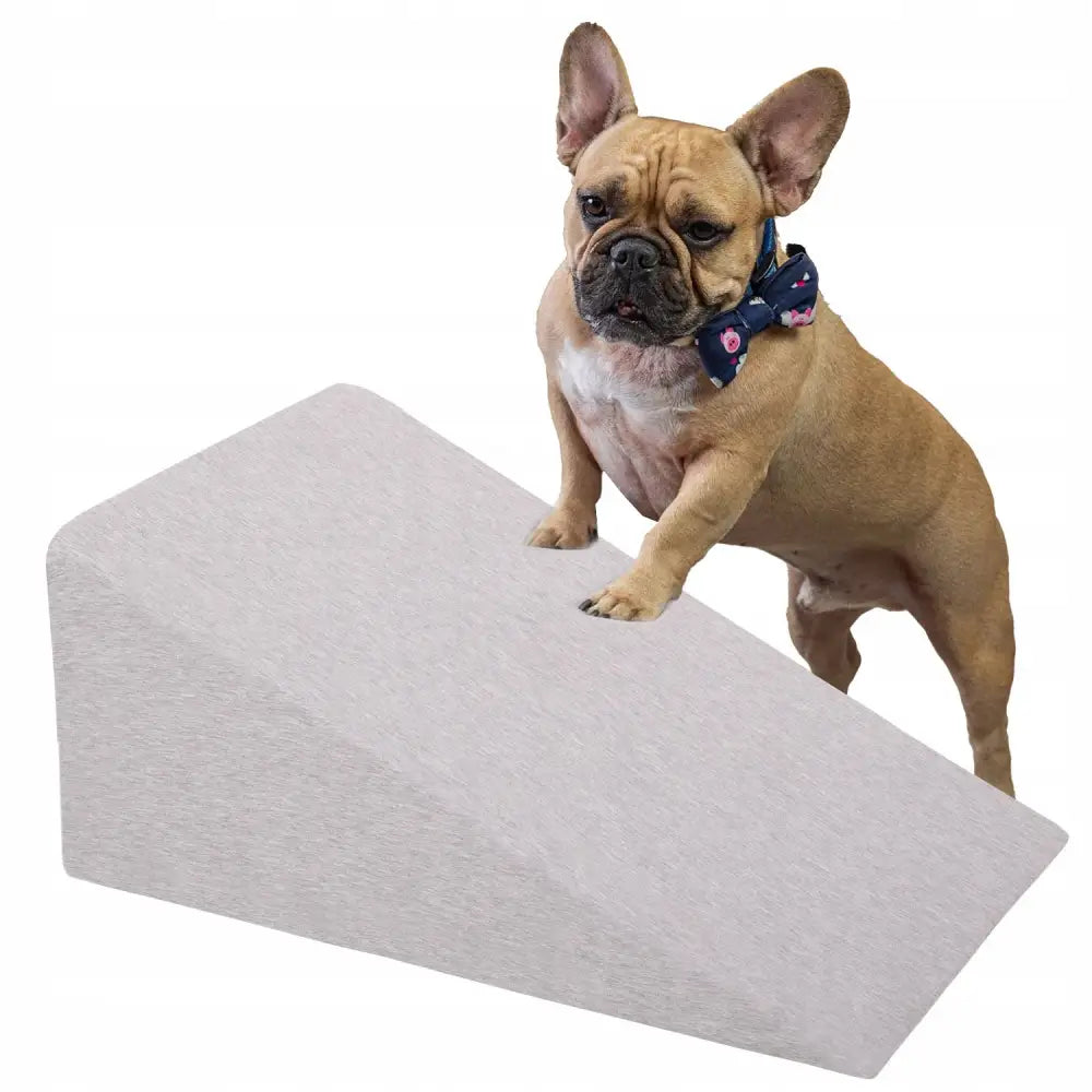 Skumgummi kileplattform rampe for hunder i lysgrått tekstil, fransk bulldog demonstrerer bruk ved å stå med forlabbene på rampen.