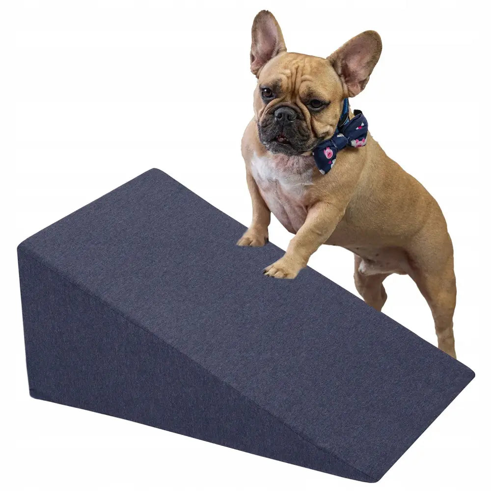 Skumkile plattform rampe i marineblått, brukt av brun fransk bulldog med sløyfe, sett fra skrå høyrevinkel.
