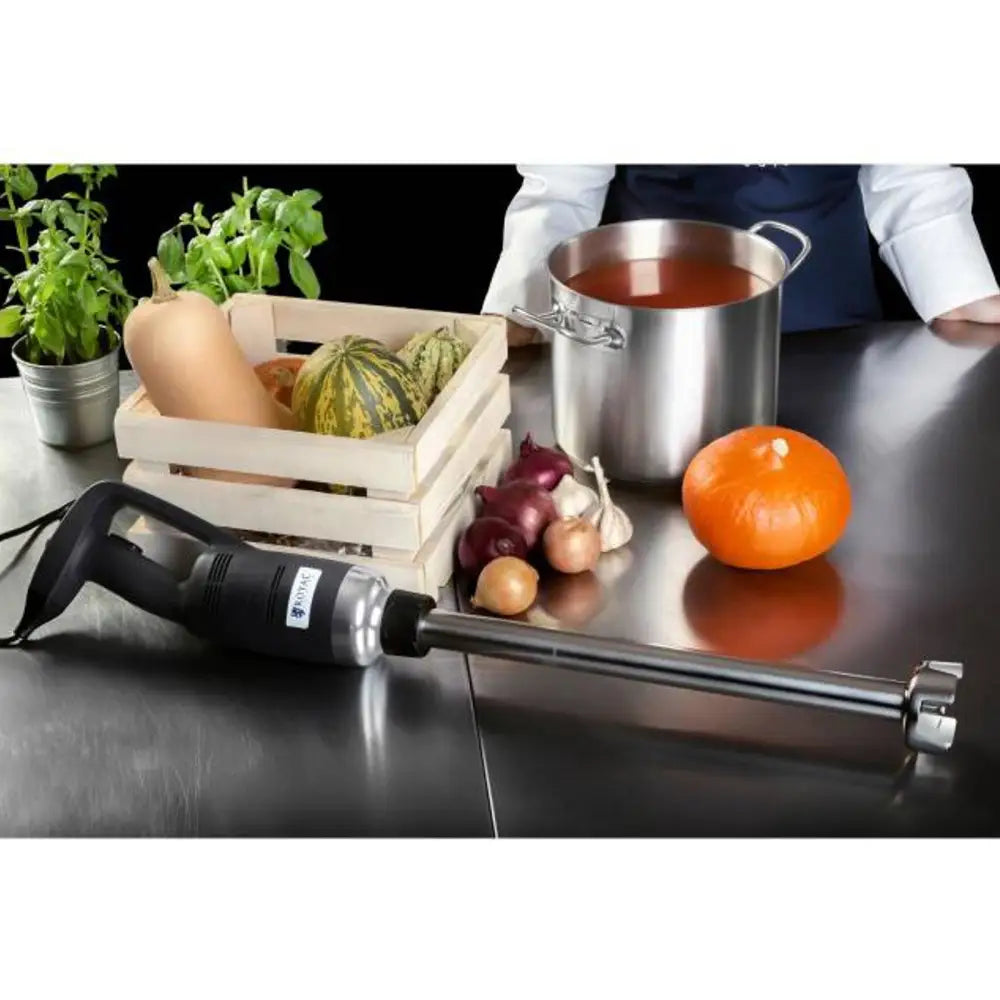 Sterk Håndholdt Mixer Blender Robot med 500mm Arm: 500w 230v Royal Catering