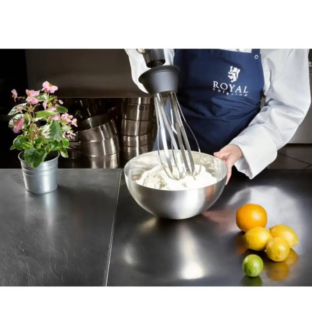 Sterk Håndmikser Blendeprosess med Visp 500w 230v Royal Catering