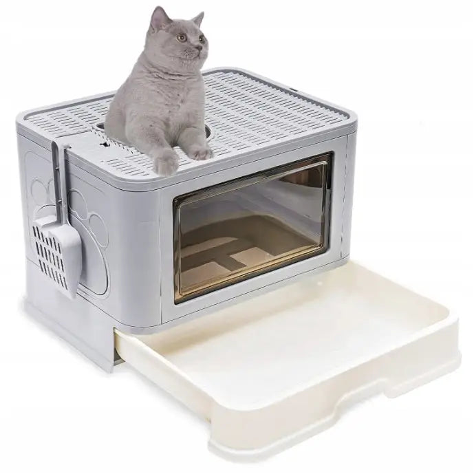Stor kattetoalett med skuff, grå og hvit plast, vindu og kattesandspade, grå katt slapper av på lokket.