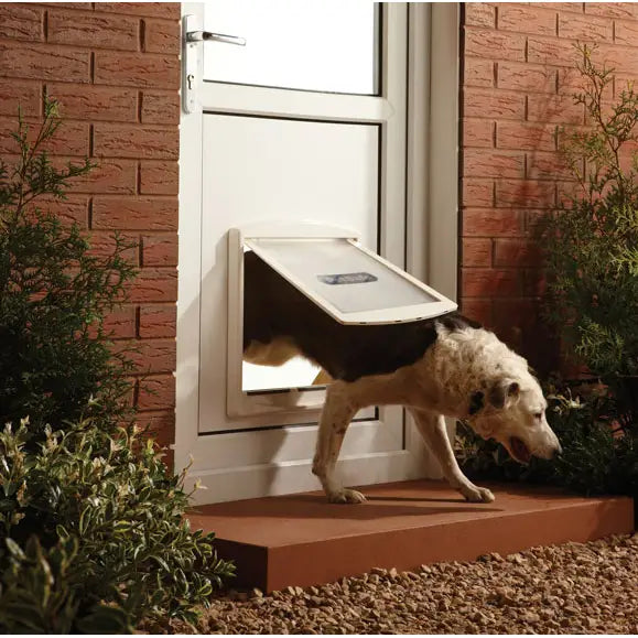 Store Hundeluken Dørpassasje for Opptil 45 Kg, stor hund passerer inn gjennom hvit luke montert lavt i dør mot murvegg.