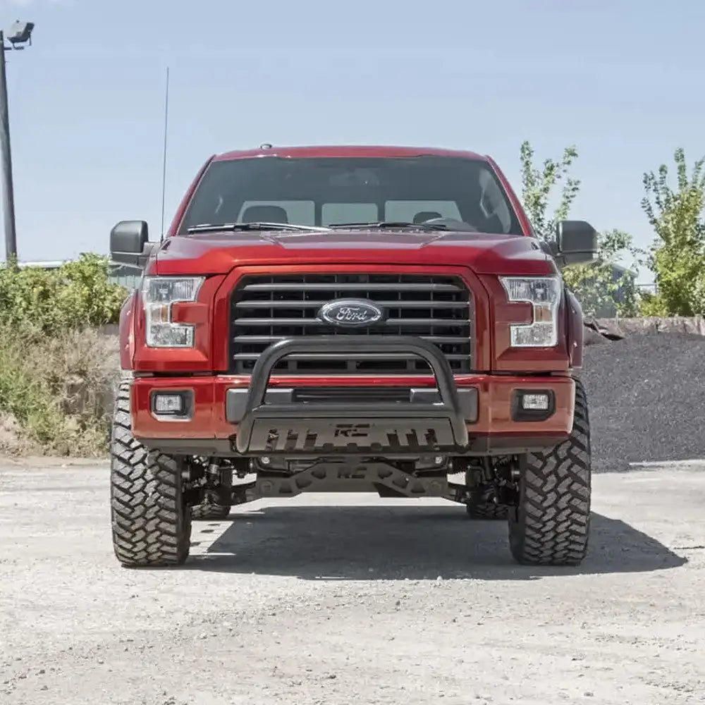 Støtfangerbeskyttelse Rough Country - Ford F150 04-23