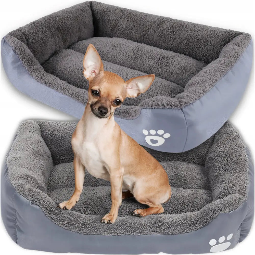 Super Hundegård Seng for Hunder i grå plysj, liten hund sitter komfortabelt med synlig hvit pote-logo på fronten.