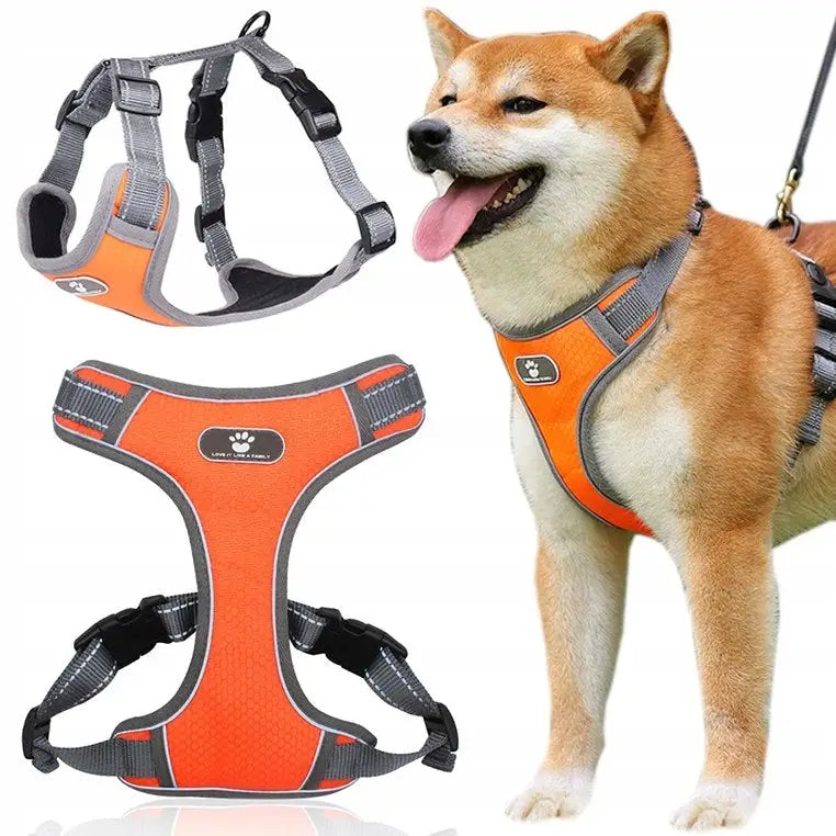 Trenings- og tursele for hund Astro i oransje og grått, vises med refleksdetaljer og justerbare stropper på hund.