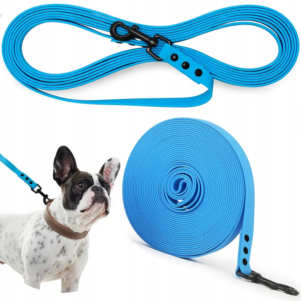 Treningsbånd for Hund Robust Biothane PVC 10M, blå line med sort krok, demonstrert på hvit hund med mørke flekker.
