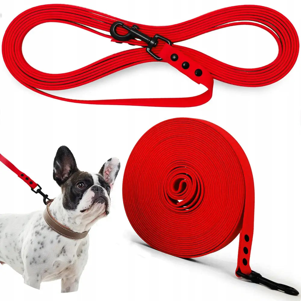 Treningsbånd for Hund Sterk Biothane PVC 10M, rød line med svart krok, hund festet nederst i bildet.