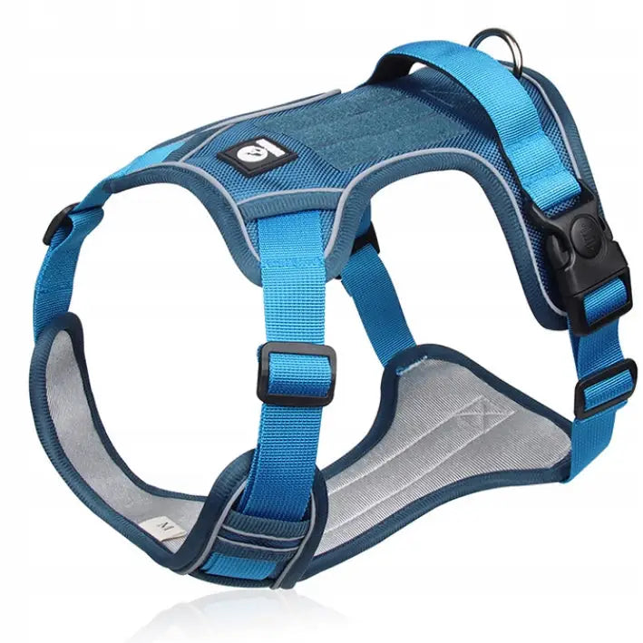 Trykkfri Guard-sele Boston S i blått, sidevisning med justerbare stropper, polstring og refleks, D-ring og klikklås.