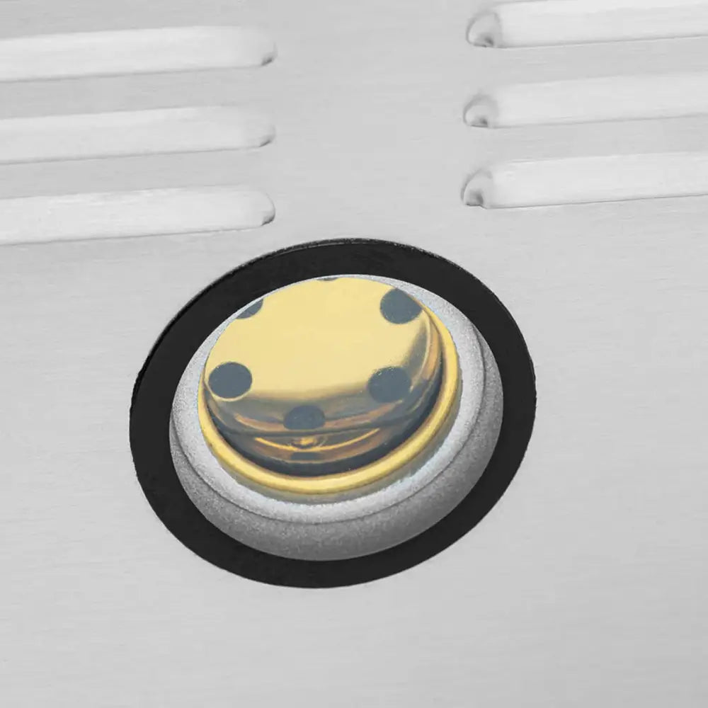 Vakuumkammermatemaskin, detalj av gullfarget knapp med sorte prikker på børstet metalloverflate.