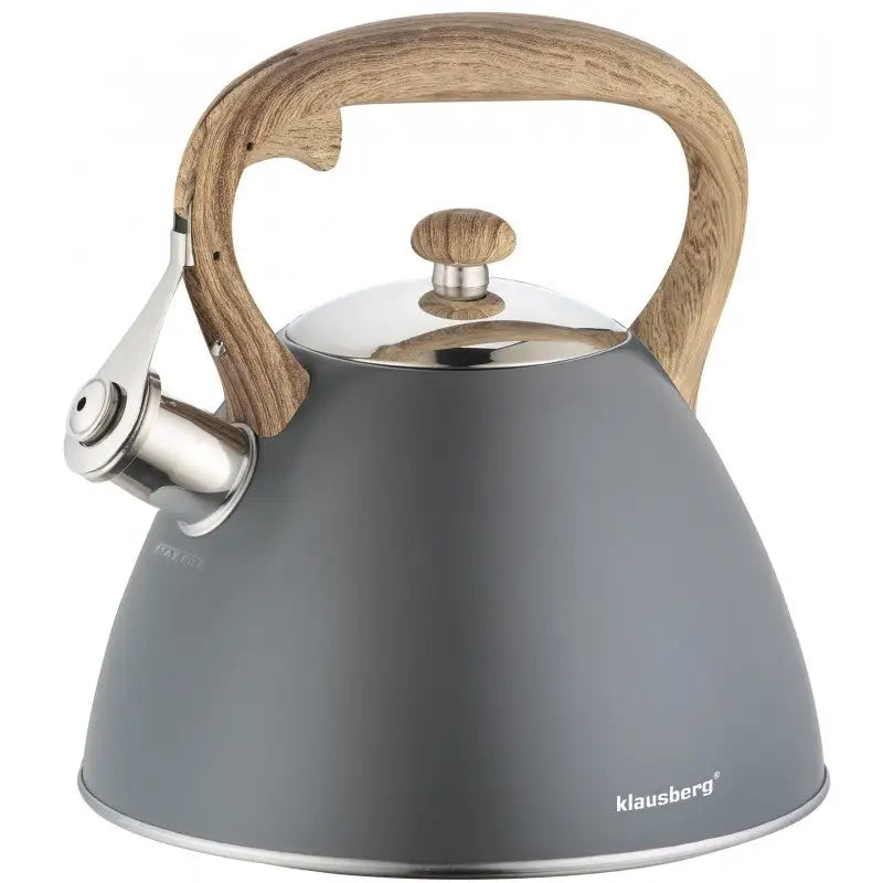 Vannkoker med fløyte, 3 liter, stål, skråvisning av bred bunn og treimitert håndtak med vippe-tut.