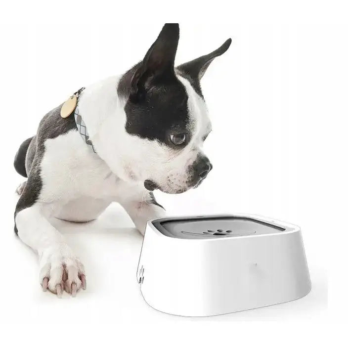 Vannskål med sklisikkert grått lokk, 1,5 L, foran sort og hvit hund, sidevisning på hvit bakgrunn.