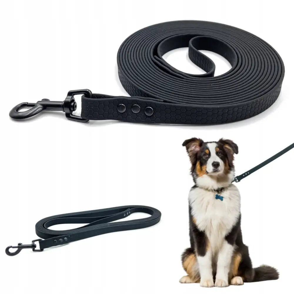 Vanntett treningssnor for hund i Biothane, svart med sekskantmønster, vist både sammenrullet, utstrakt og i bruk på hund.