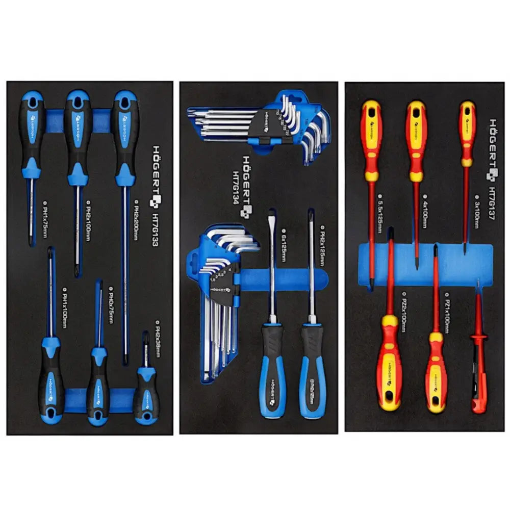 Verktøyskap med 171 deler, oversiktsbilde av skrutrekkere og unbrakonøkler i svart skuminnlegg.