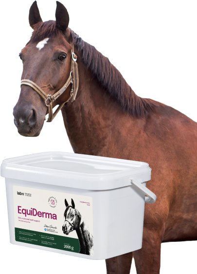 Hestefôr for hud, pels og hover 50ml vises foran brun hest med hvit bless og grime, sett fra siden.