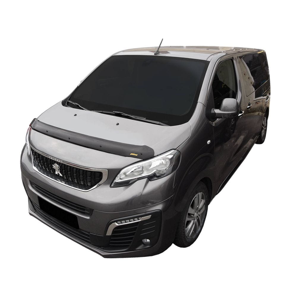Panserbeskytter Citroen Spacetourer / PE Traveler/ To Pro Ace (2019-) - sett bakfra