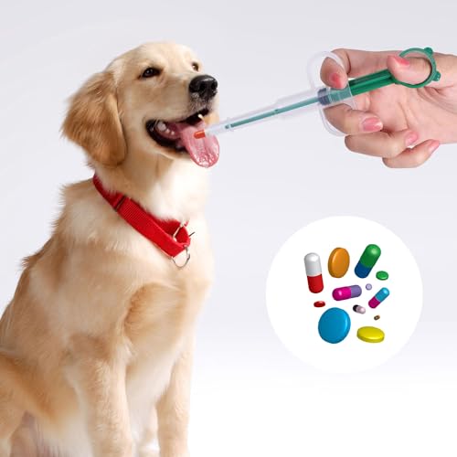 Tablettsprøyte Dyr brukes til å gi en hund med rødt halsbånd medisiner med grønn tablettsprøyte, piller vises.