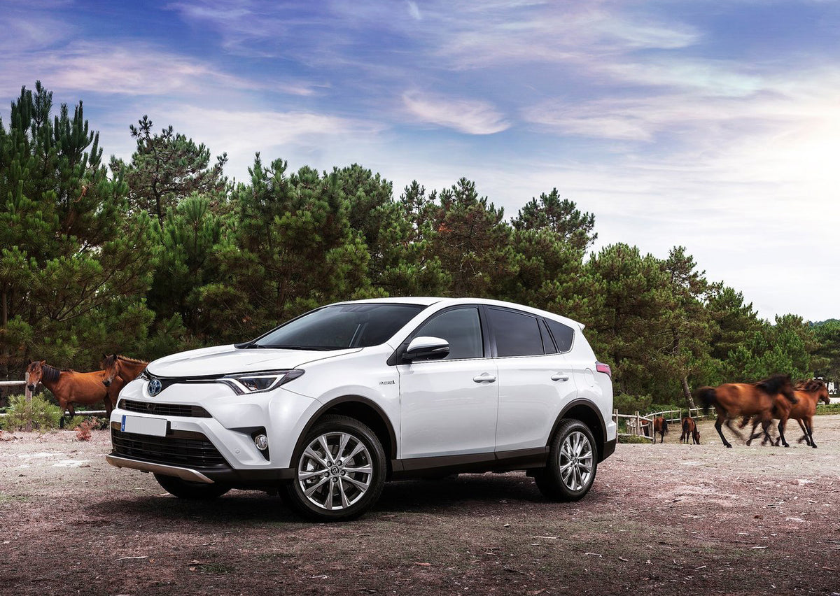 Emblem Toyota RAV4 IV Hybrid Skjerm - sett bakfra
