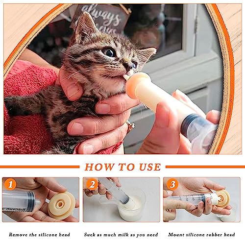 Matesprøyte brukes til å mate en liten kattunge; voksen hånd holder kattungen mens silikon-tut føres til munnen.
