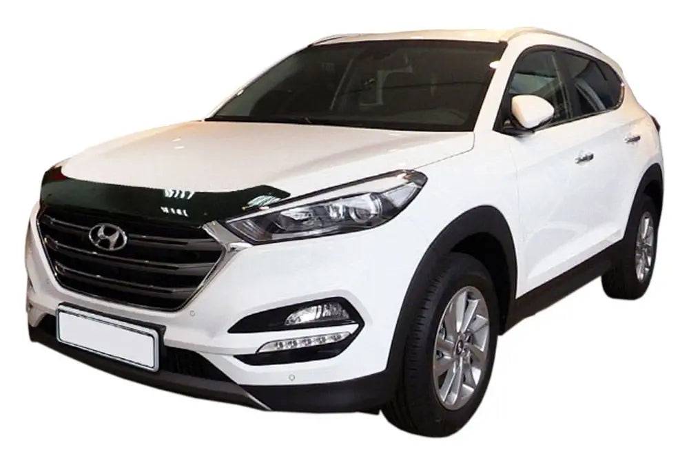 Panserbeskytter Hyundai Tucson III (2015-2018) - sett bakfra
