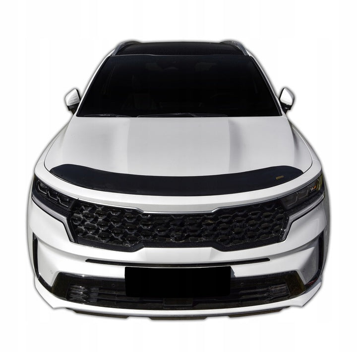 Panserbeskytter Kia Sorento IV (2020-) - sett bakfra