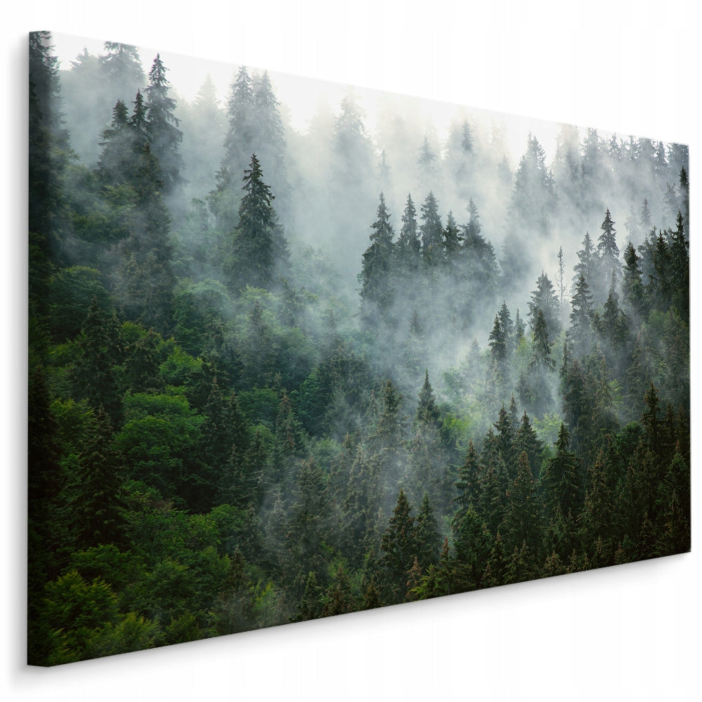 Bilde til stuen - Skog i tåke landskap 3D 120x80