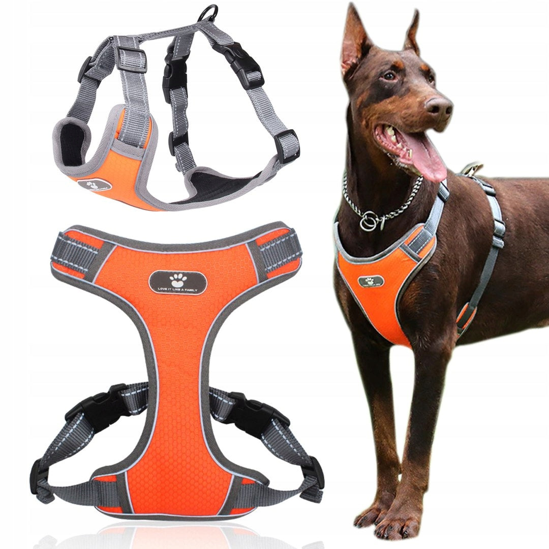 Trenings- og tursele for hund Astro Oransje Størrelse XL