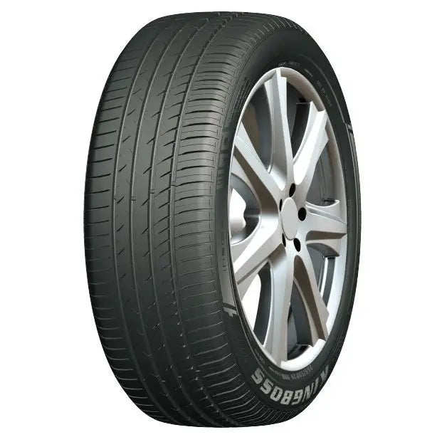 Billige Dekk Kingboss G866 225/55 R19 99 w