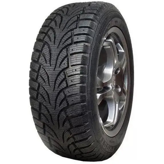 Billige Dekk Winter Tact Nf3 205/65 R15 94 t