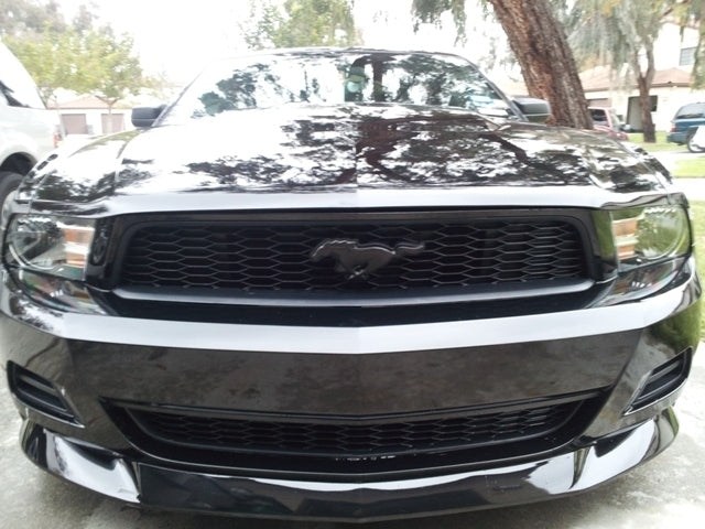 Emblem Ford emblem Black Pony Mustang Panser - detaljer
