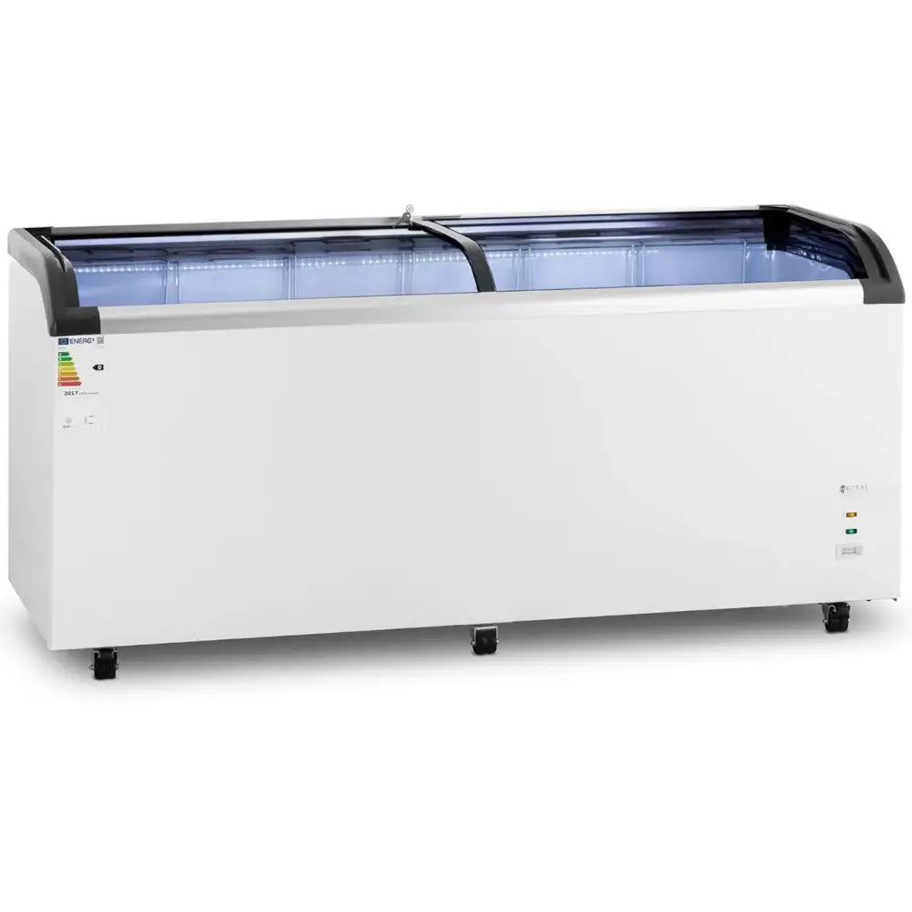 Glasset Fryser Til Iskrevende Matvarer 545 l 252 w - 2